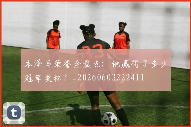 本泽马荣誉全盘点:他赢得了多少冠军奖杯?_20260603222411